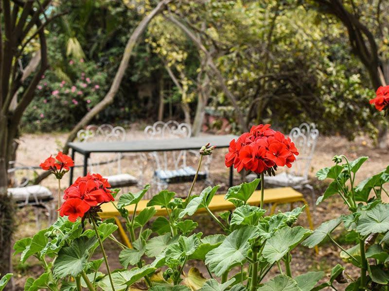Casa Campo Lindo Olmué Esterno foto